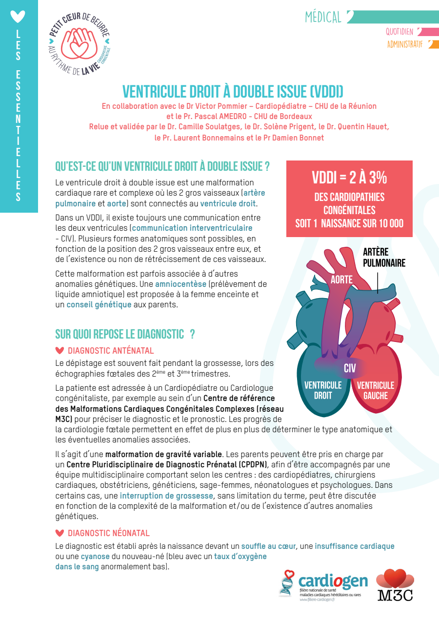 Voie double issue ventriculaire